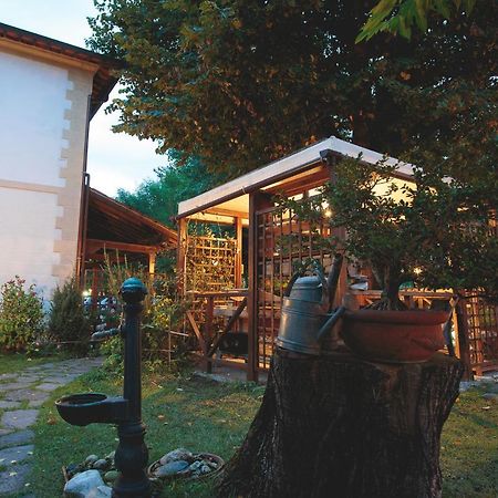 Hotel Giuly Torre del Lago Puccini Exteriér fotografie